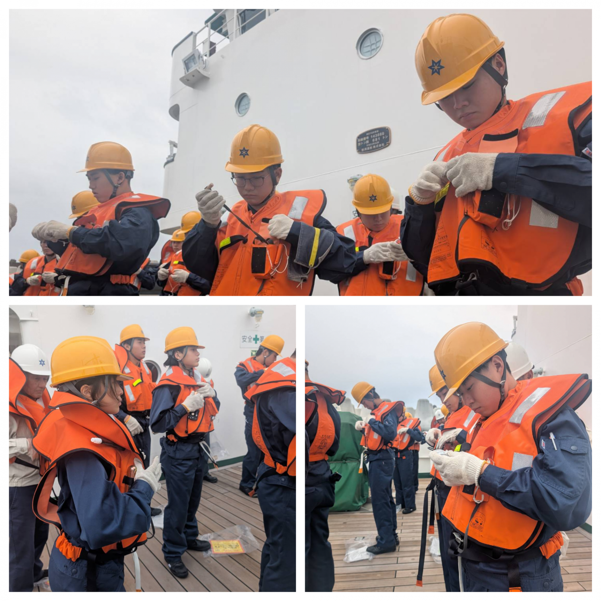 Blank 3 Grids Collage - 2025-11-06T180215.452